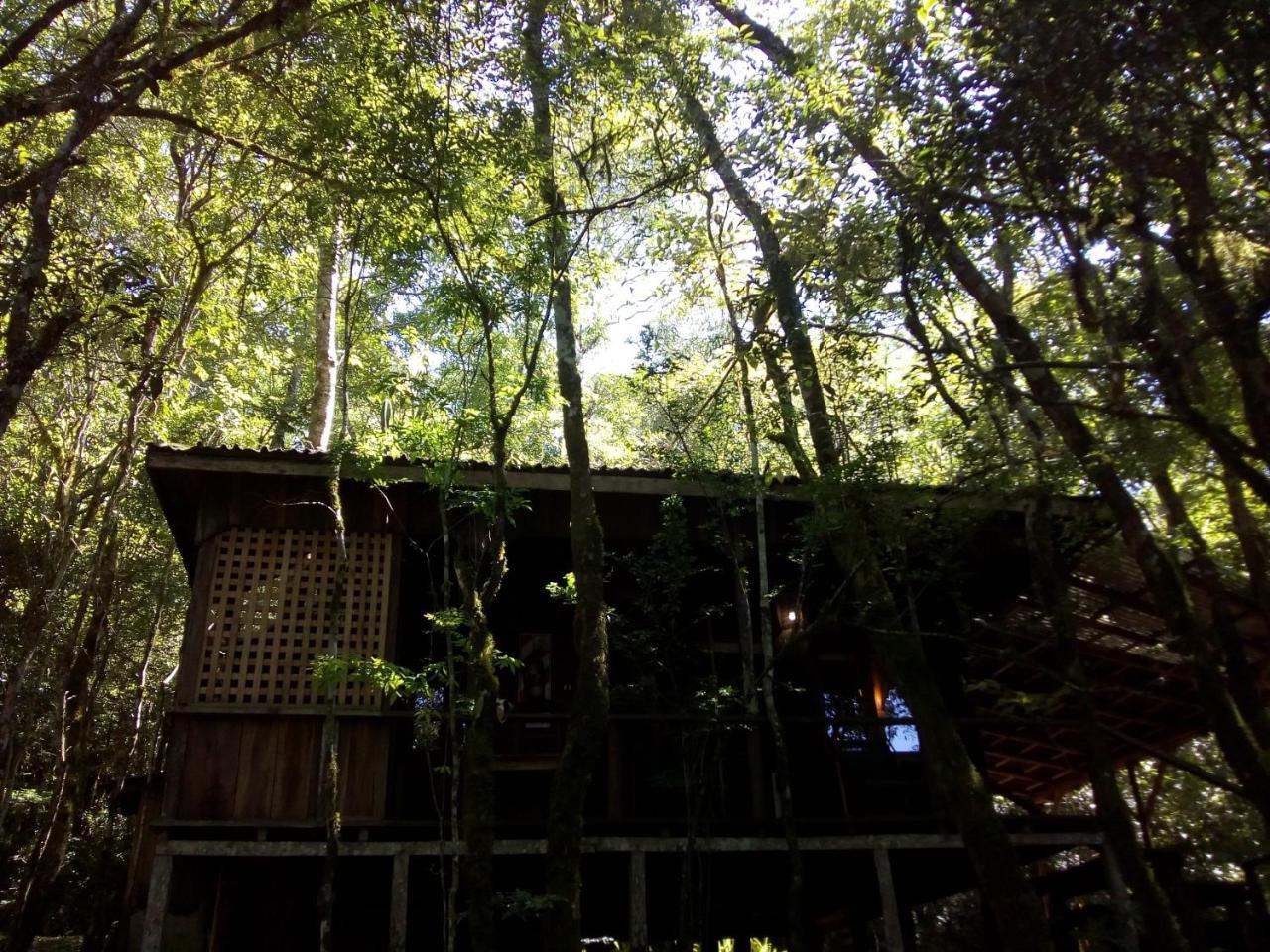 Aldea Yaboty Hosteria Saltos del Moconá Dış mekan fotoğraf